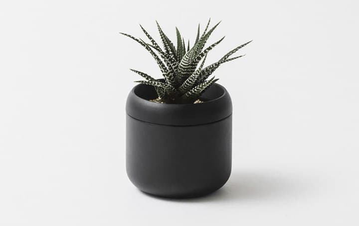 植木鉢から「受け皿」が消えた日。「PLANT POT HACHI」は、植物のための精密なカプセルです。