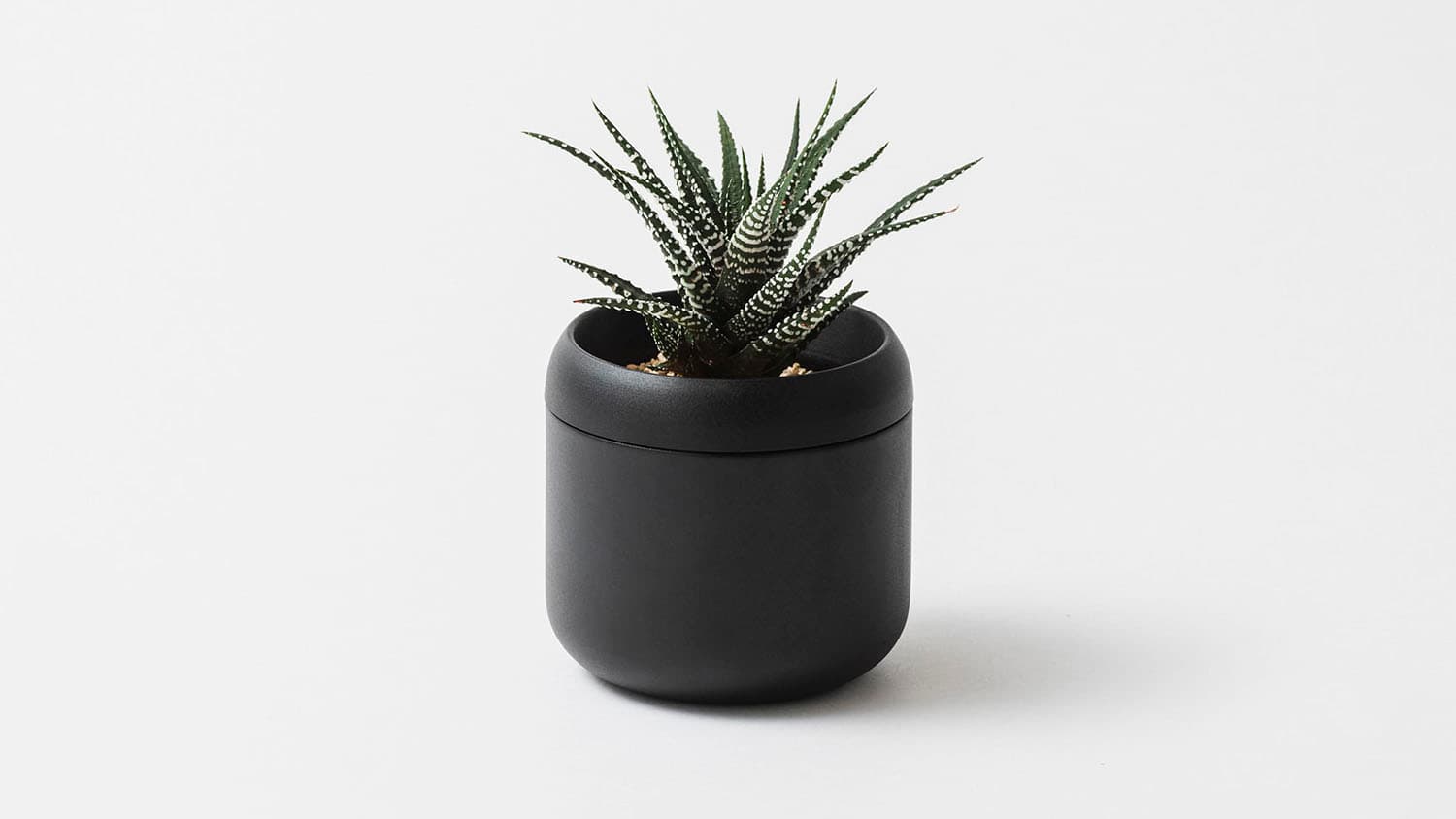 植木鉢から「受け皿」が消えた日。「PLANT POT HACHI」は、植物のための精密なカプセルです。