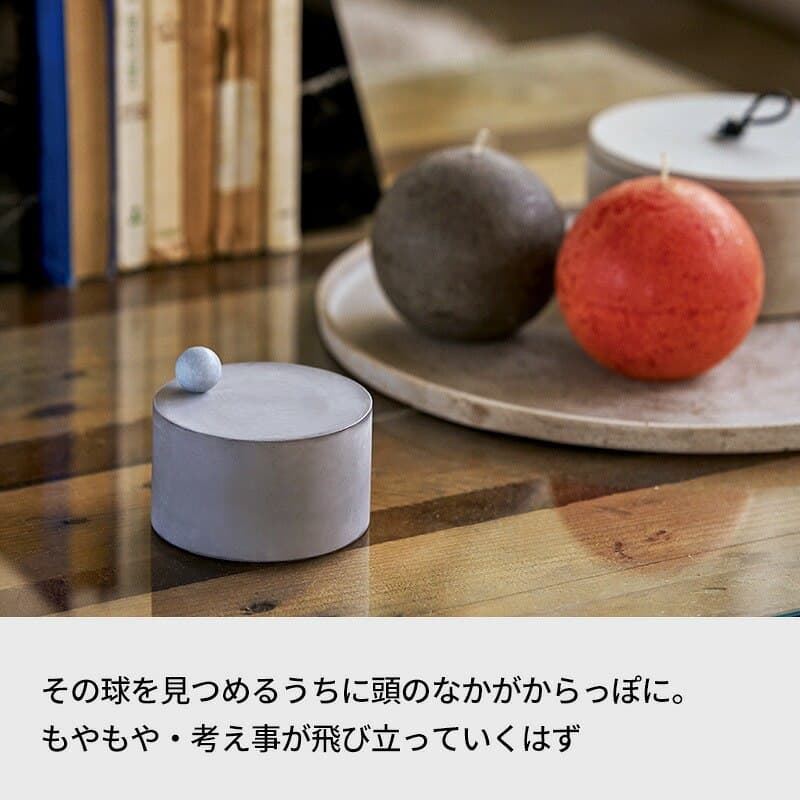 木の実のオブジェと並べたティッキングバグ
